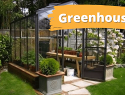 Hobi Greenhouse Akan Menumbuhkan Anda!