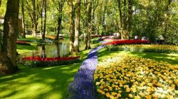 Keukenhof Gardens Belanda