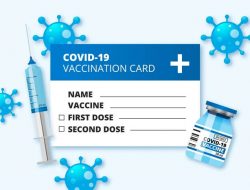 Cara Download Sertifikat Vaksin Dari Aplikasi Pedulilindungi